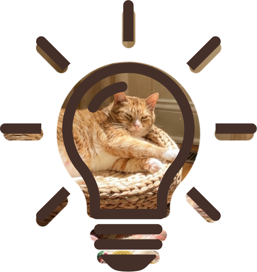 Senior Pet Care for cats provided by A Pet's Farewell in Newport Beach California