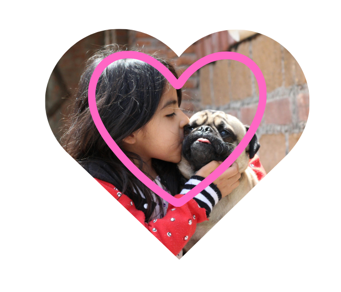 Peaceful in home euthanasia support by A Pets Farewell in Orange County CA