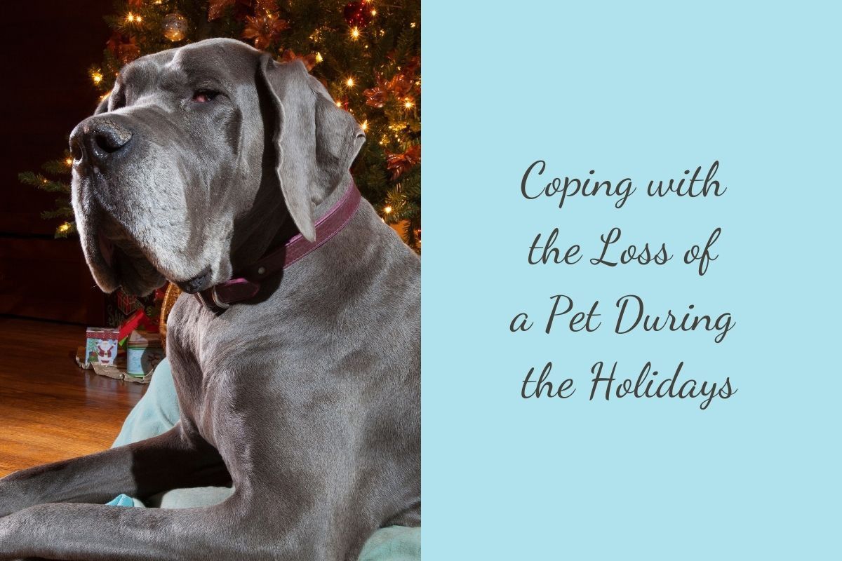 Coping-with-the-Loss-of-a-Pet-During-the-Holidays