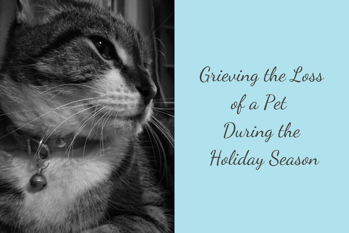 Grieving-the-Loss-of-a-Pet-During-the-Holiday-Season