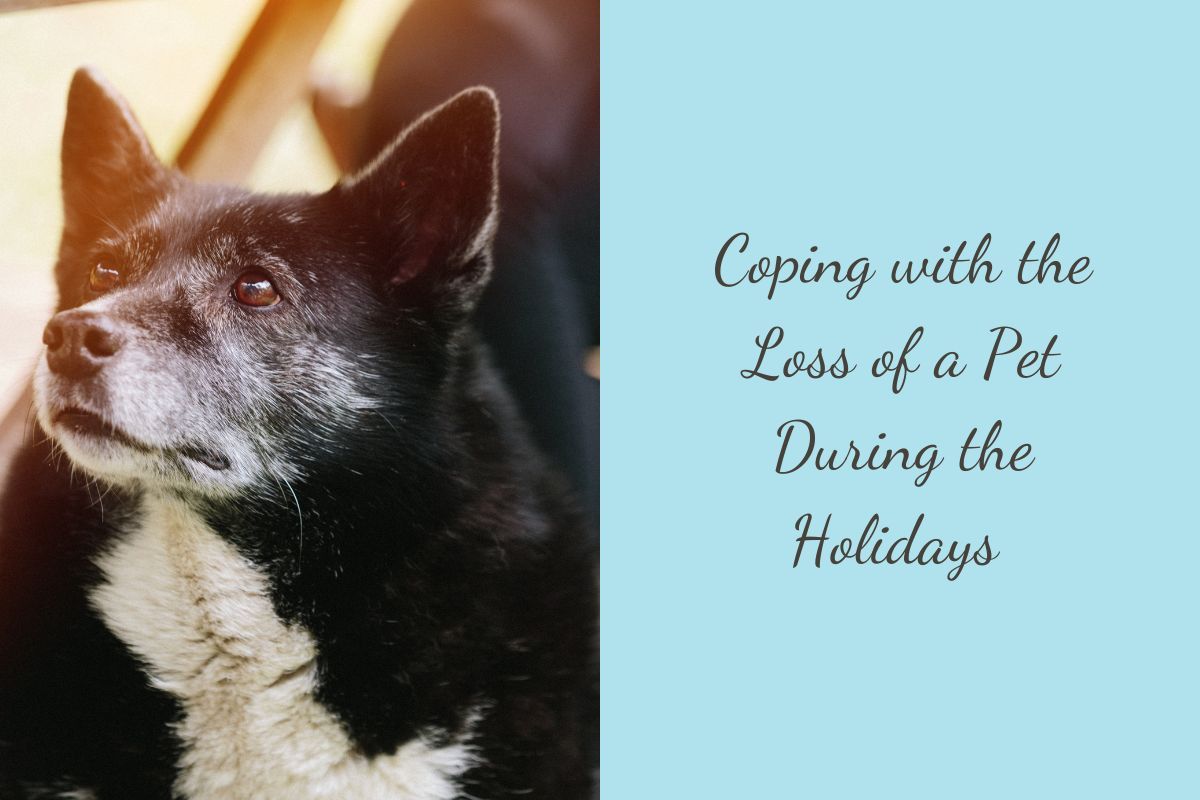Coping-with-the-Loss-of-a-Pet-During-the-Holidays-