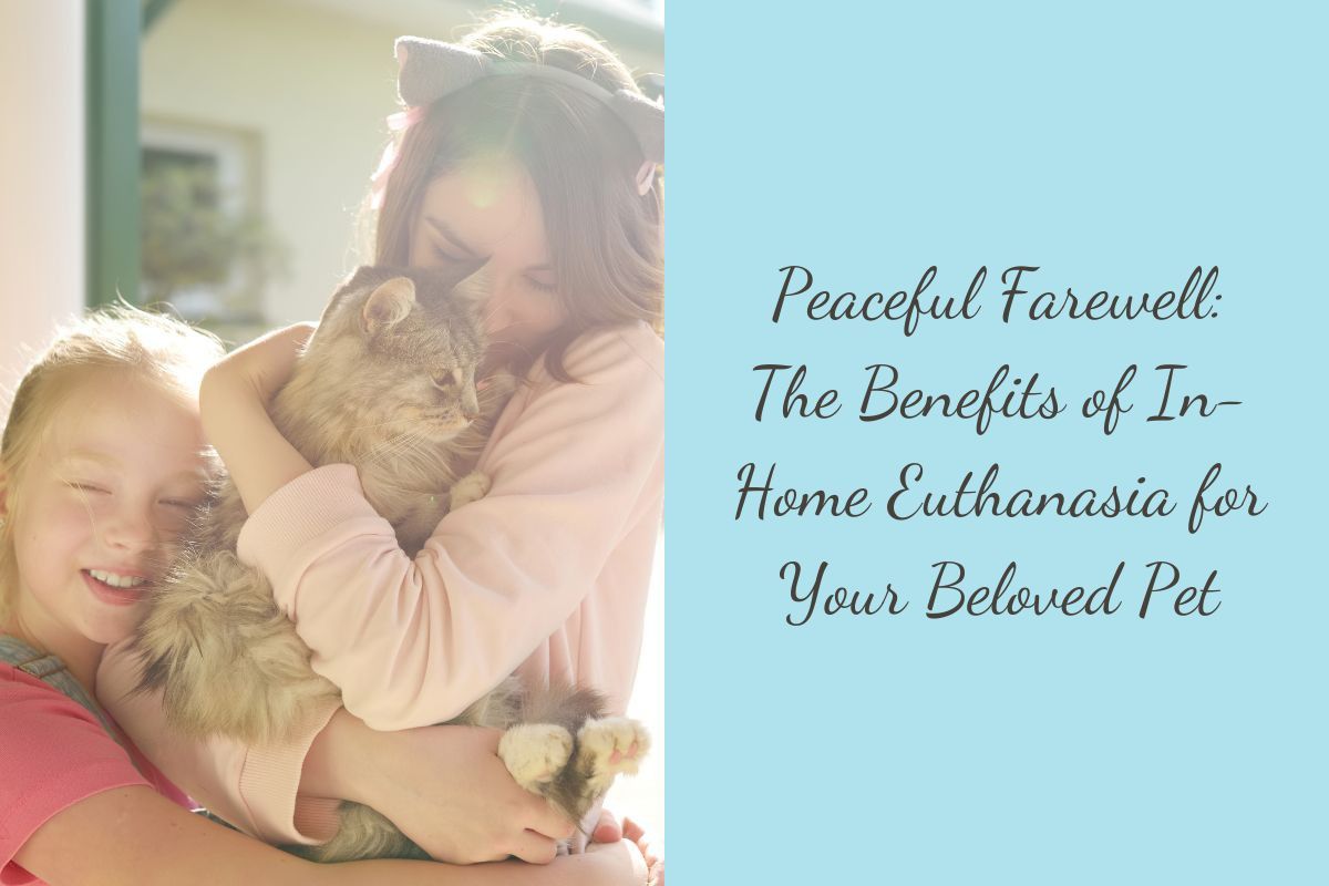 Peaceful-Farewell-The-Benefits-of-In-Home-Euthanasia-for-Your-Beloved-Pet