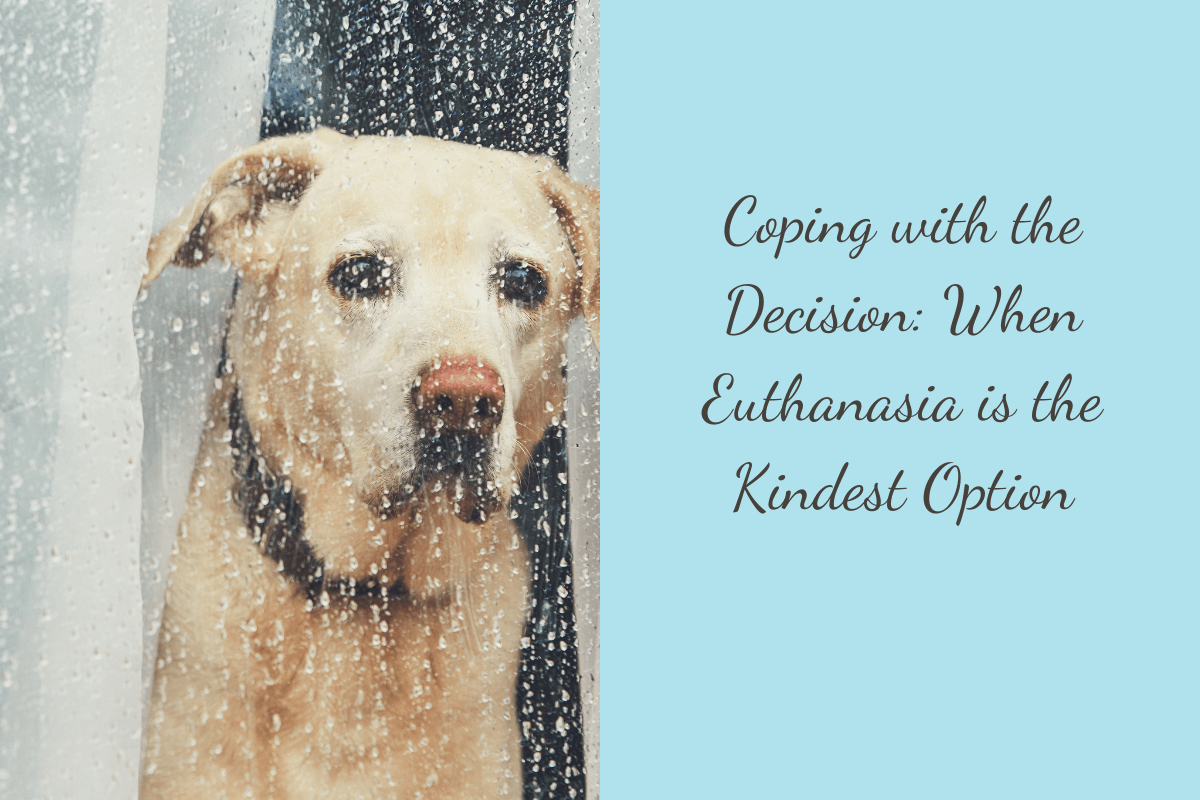 Coping-with-the-Decision-When-Euthanasia-is-the-Kindest-Option-1
