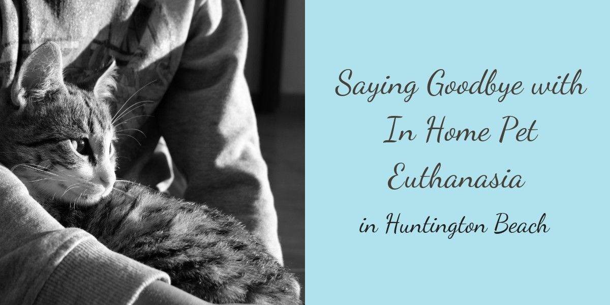 Saying-Goodbye-with-In-Home-Pet-Euthanasia-in-Huntington-Beach