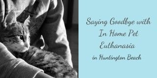 Saying-Goodbye-with-In-Home-Pet-Euthanasia-in-Huntington-Beach