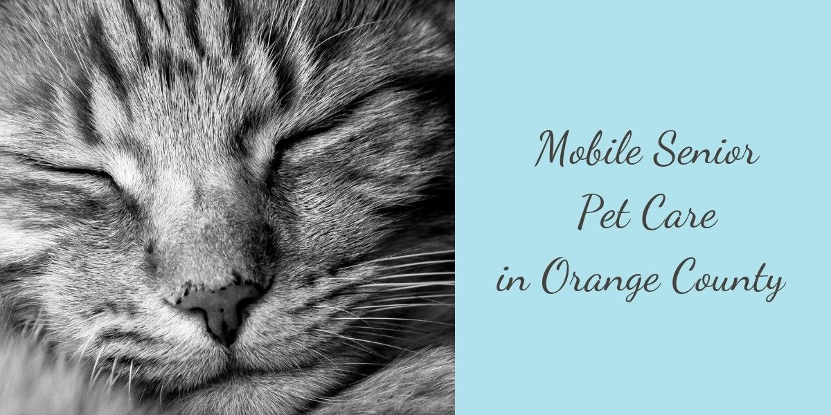 Mobile-Senior-Pet-Care-in-Orange-County