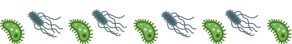 Pet parasites representing the need for pet parasites education from A Pet's Farewell in Newport Beach, CA