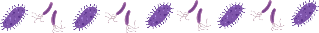 Pet parasites that create the need for prevention all year long